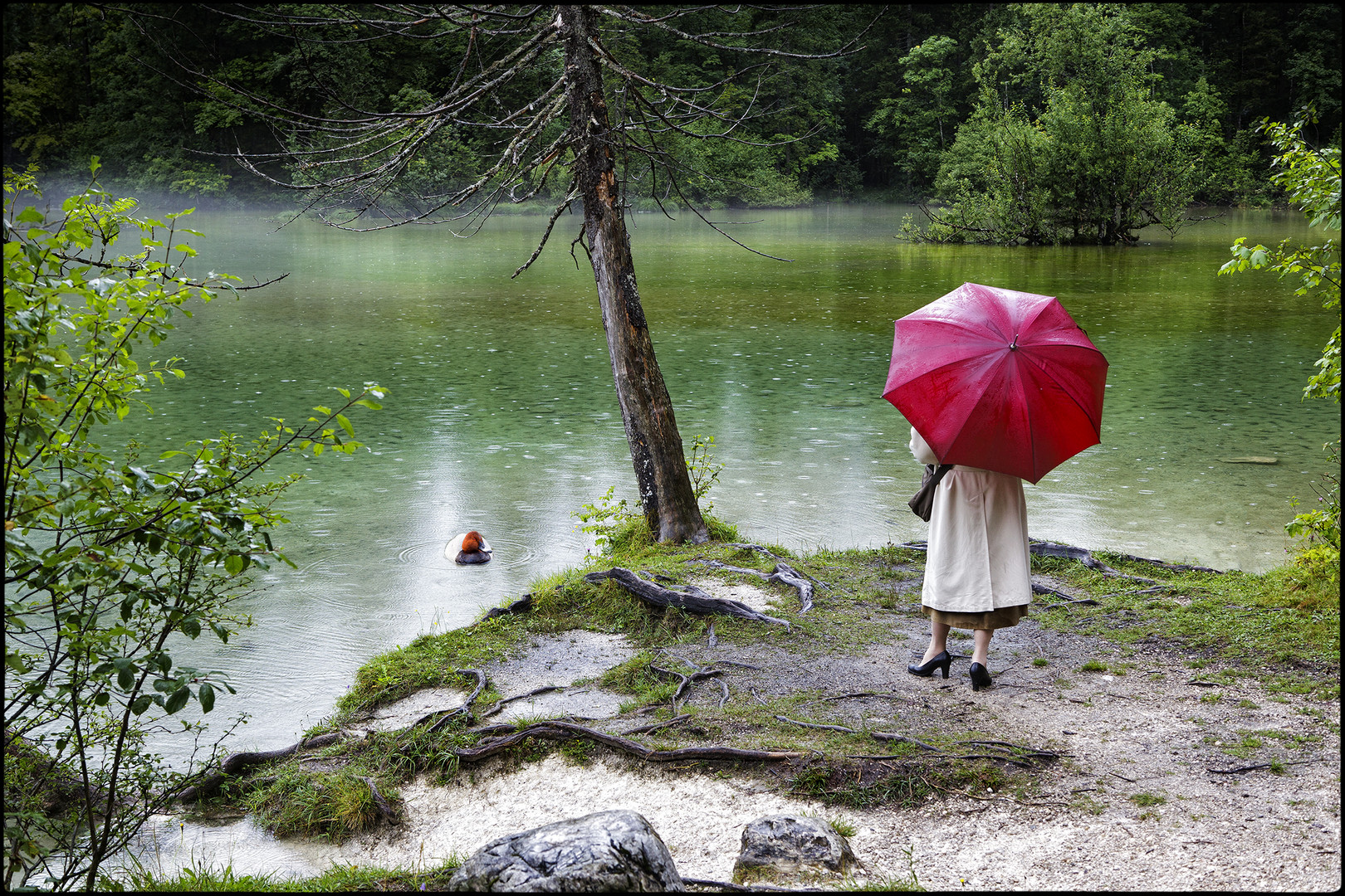 Entschleunigung am See