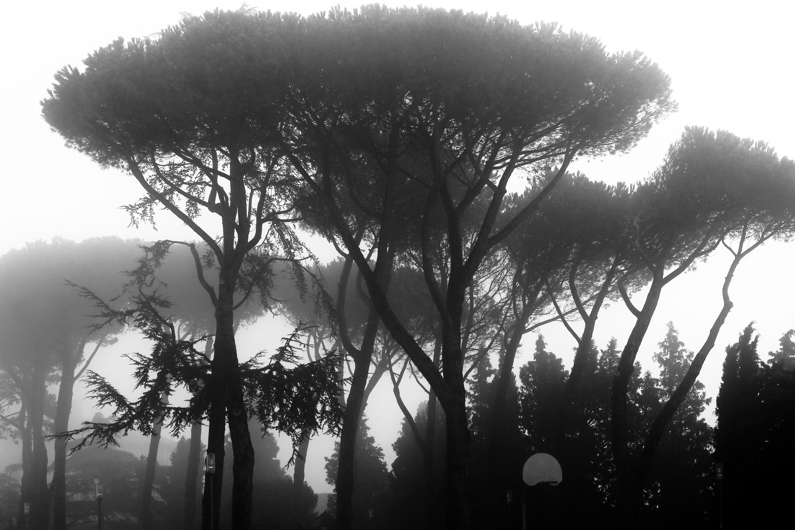 ENTS_in_Todi