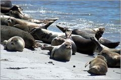 ... entspannen am Strand ...