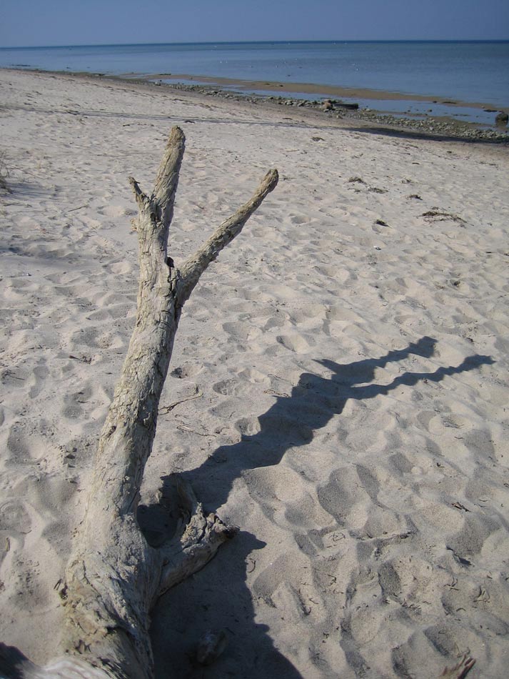 Entspannen am Strand...