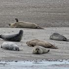 Entspannen auf der Sandbank