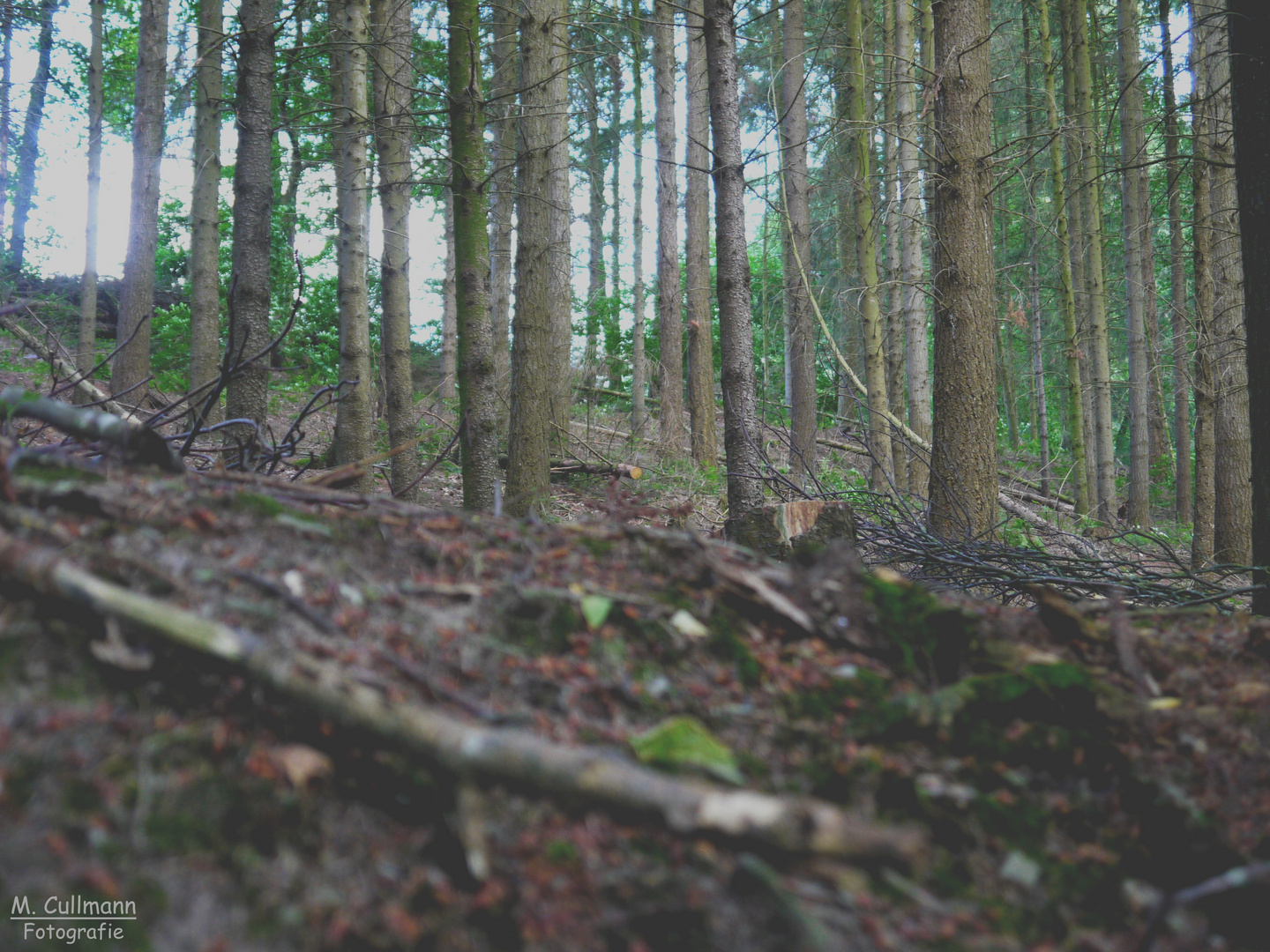 Entspannen in der Natur 