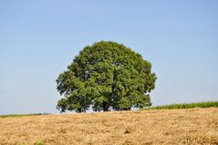 entspannen und ausruhen