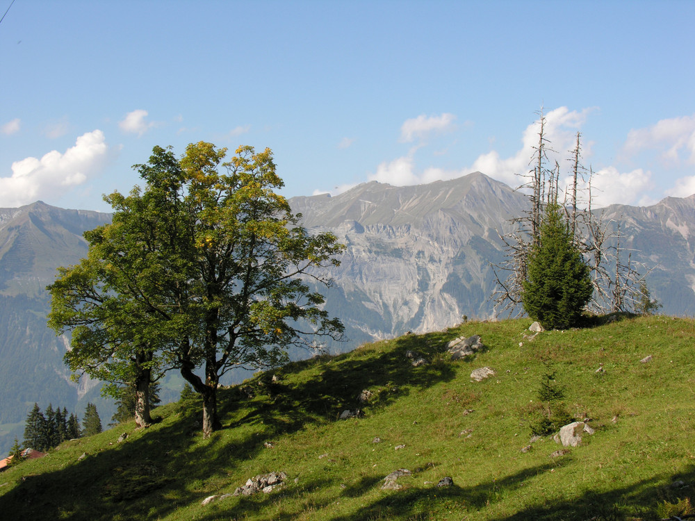 Entspannender Blick von der Axalp