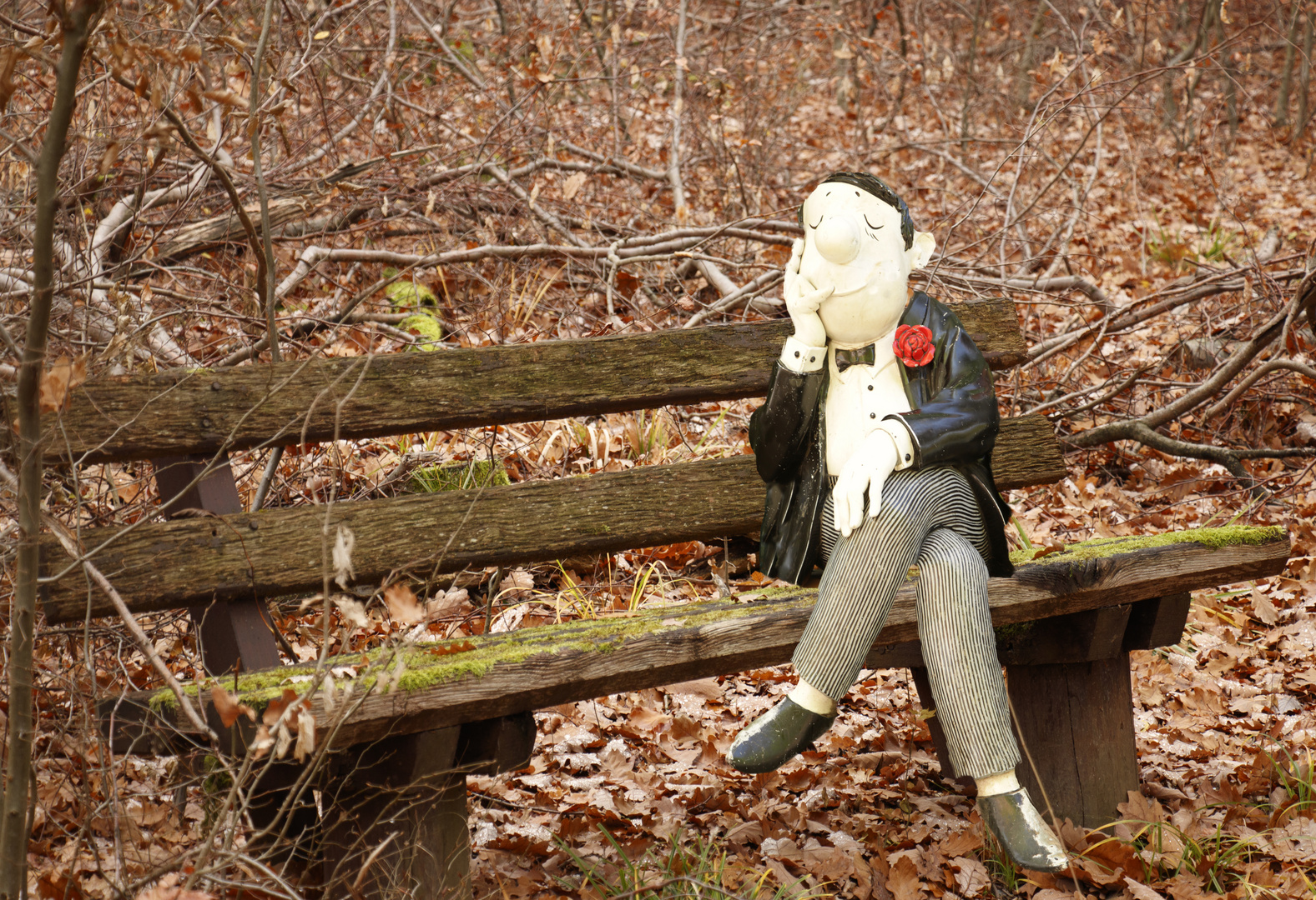 Entspannt, allein im Park