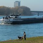 Entspannt am Rhein