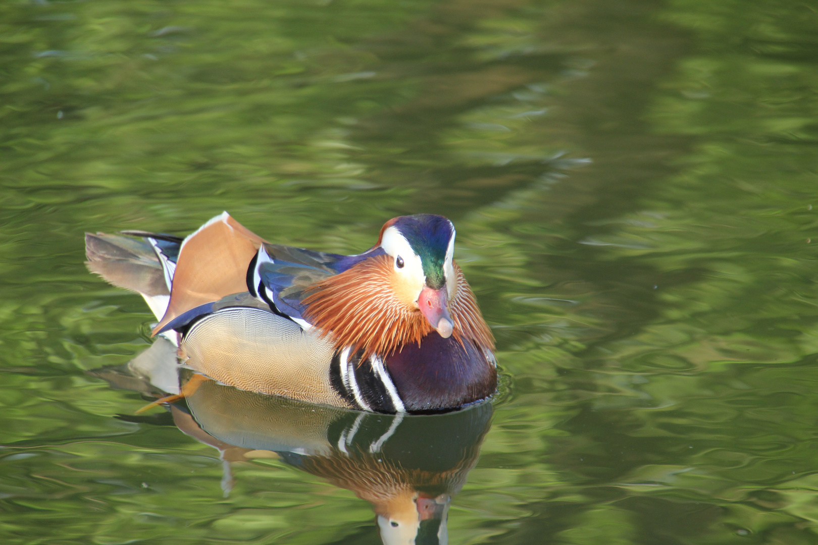 Entspannt am See