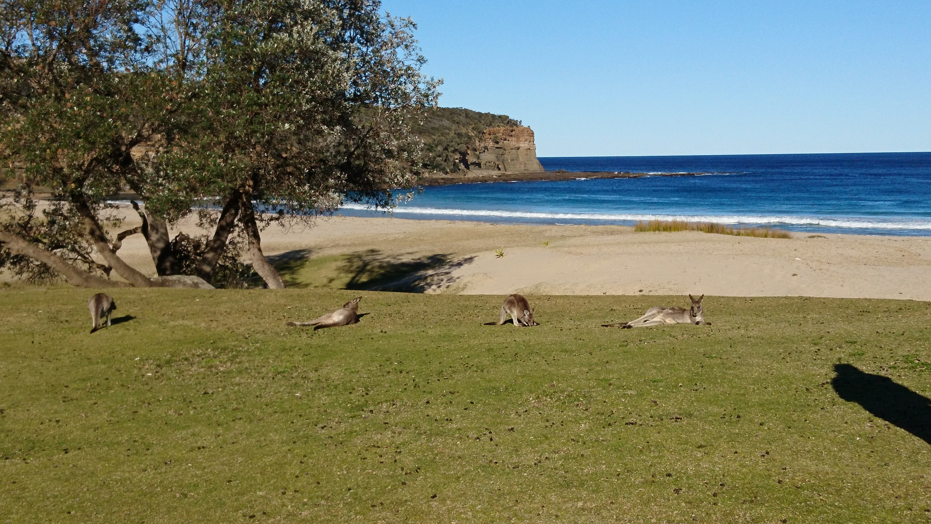 Entspannt am Strand 