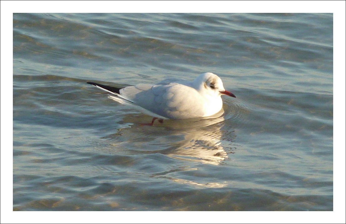 Entspannt auch im Winter