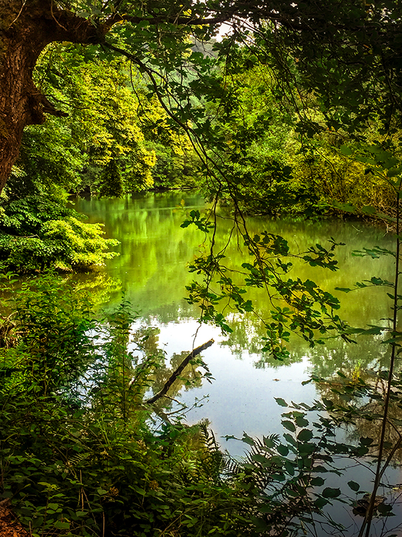 Entspannt im Wiedbachtal