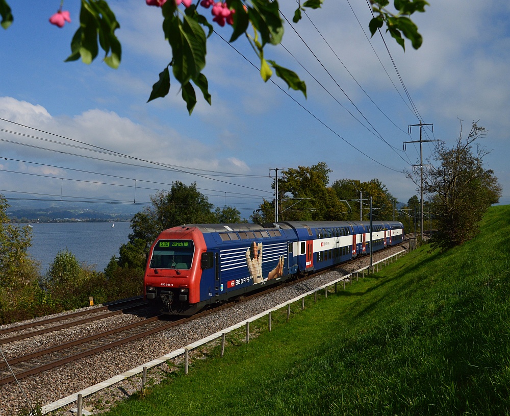 Entspannt nach Zürich