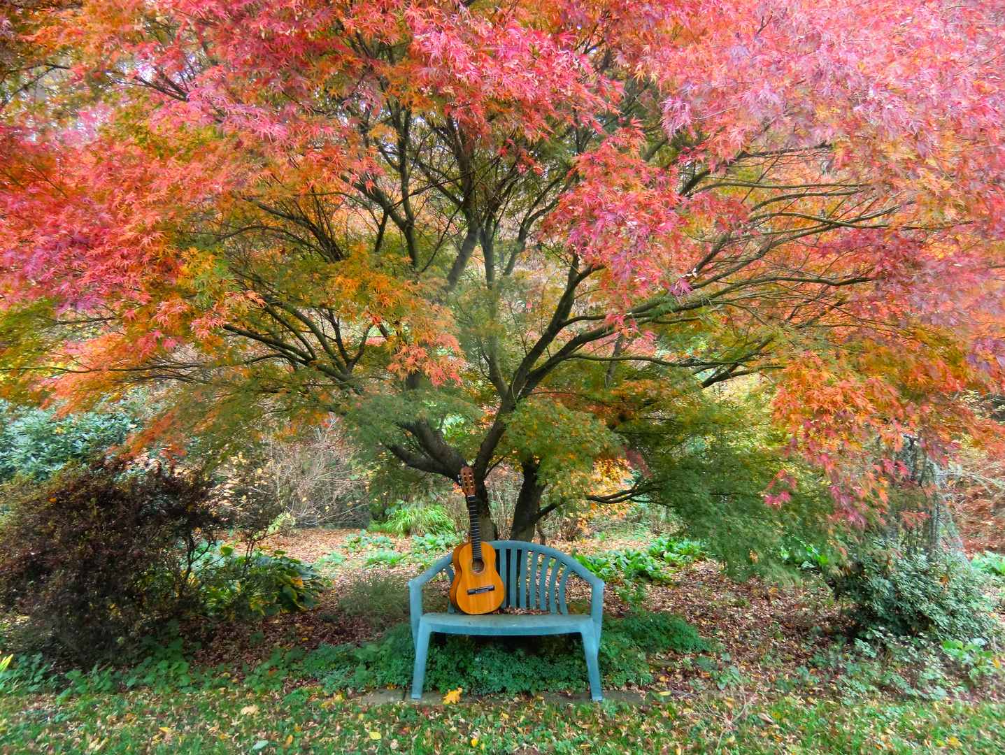 Entspannte Herbstzeit