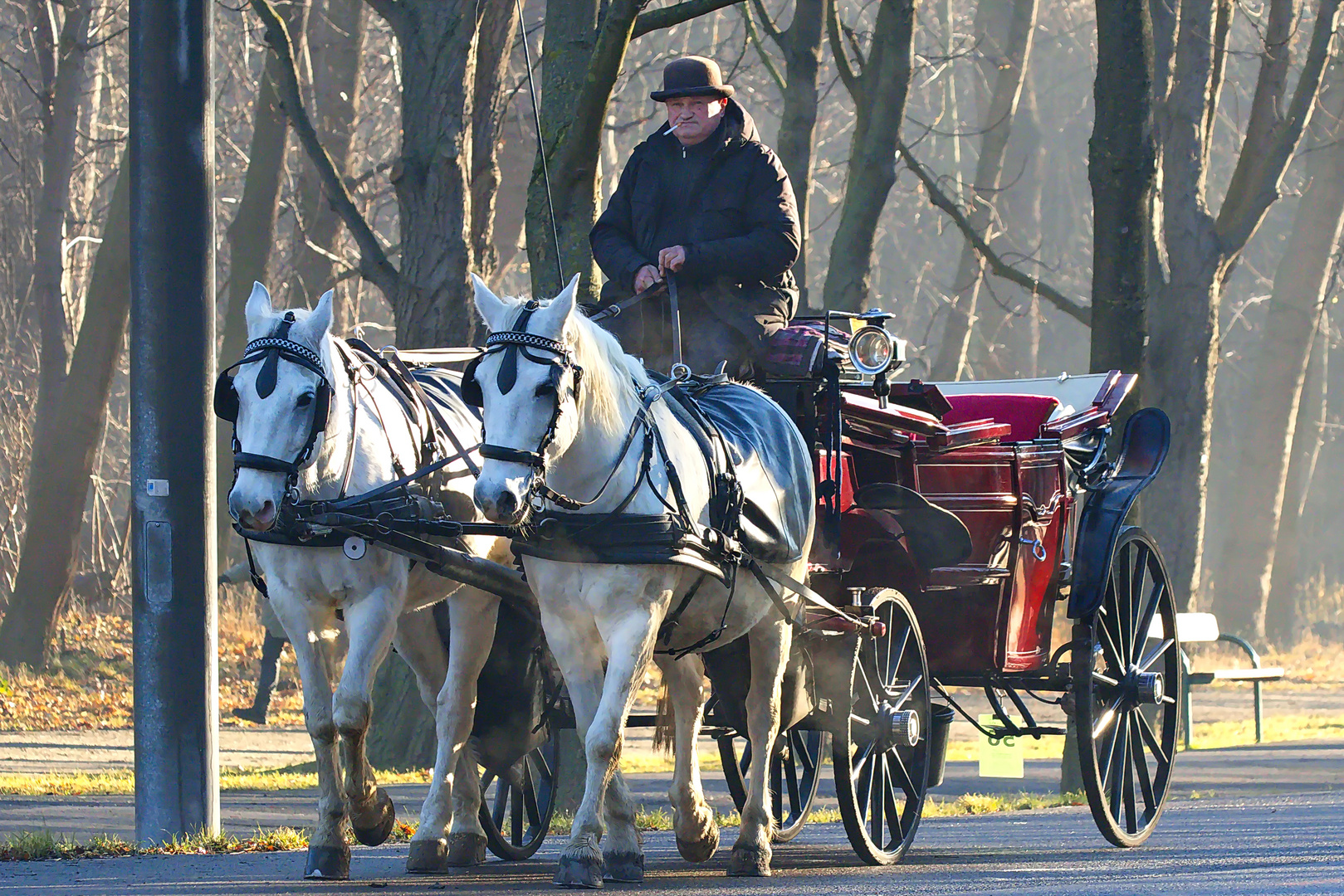 Entspannte morgendliche Fiaker-Fahrt