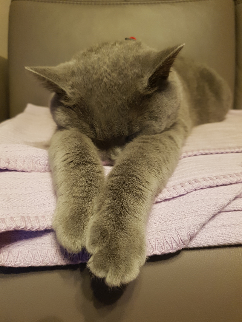 Einen entspannten abend bilder