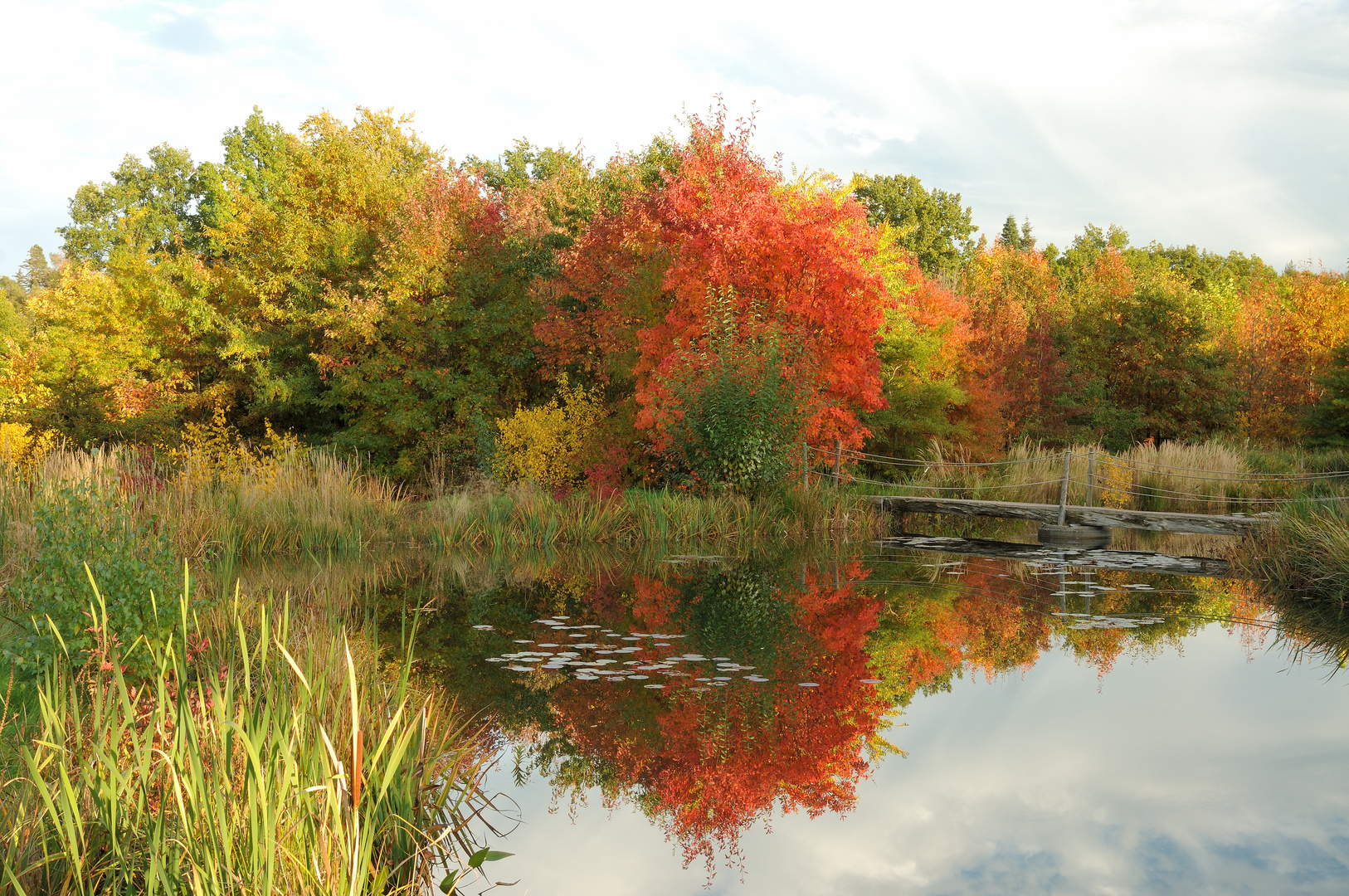 Entspannter Herbstabend am Weiher