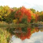 Entspannter Herbstabend am Weiher