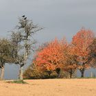 Entspanntes Warten auf den Winter