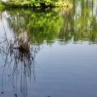 Entspannung am Dutzendteich