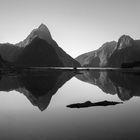 Entspannung am Milford Sound, Neuseeland