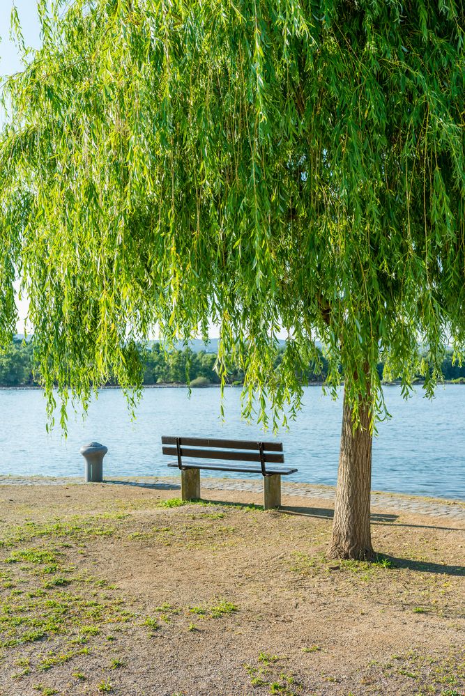 Entspannung am Rhein 76