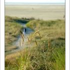 Entspannung am Strand