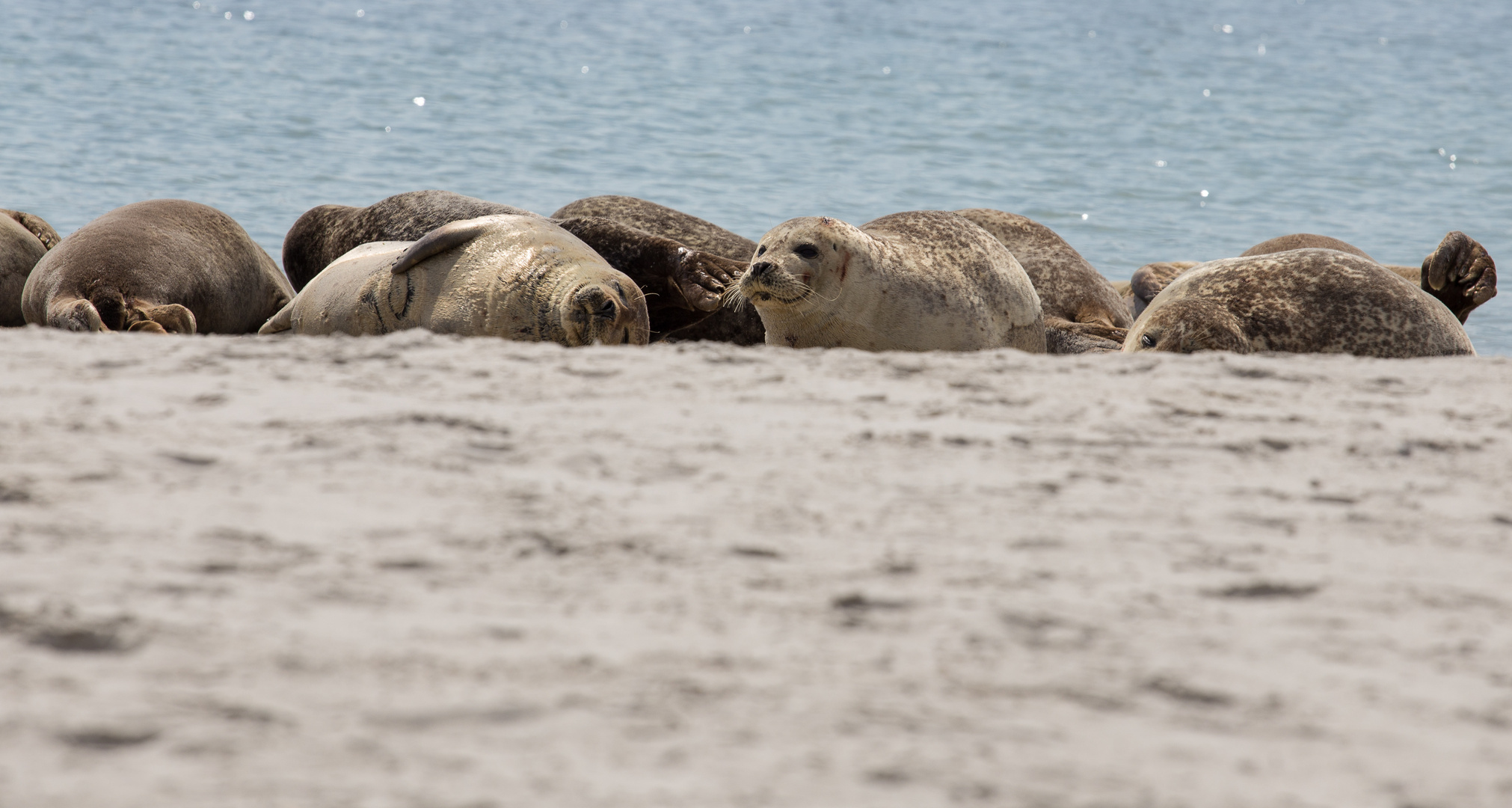 Entspannung am Strand