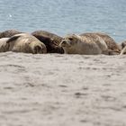 Entspannung am Strand