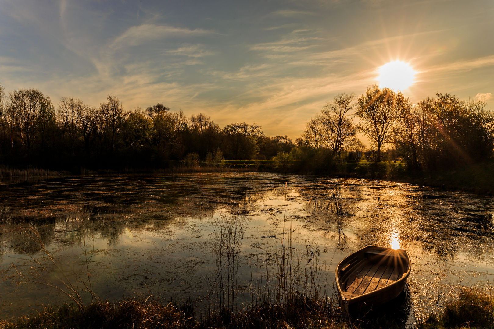 Entspannung am Teich