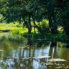 Entspannung an der Masurischen Seenplatte