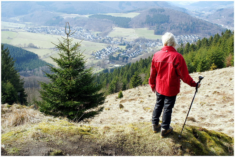 " Entspannung " auf dem Ginsterkopf (Rothaarsteig):