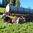 Entspannung auf der Alm