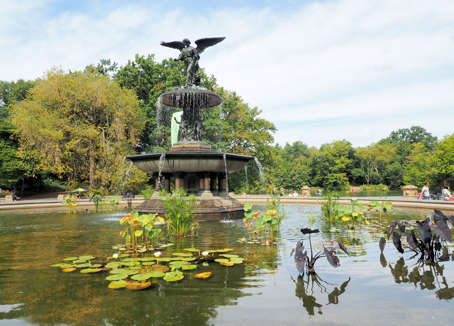 Entspannung im Central Park...