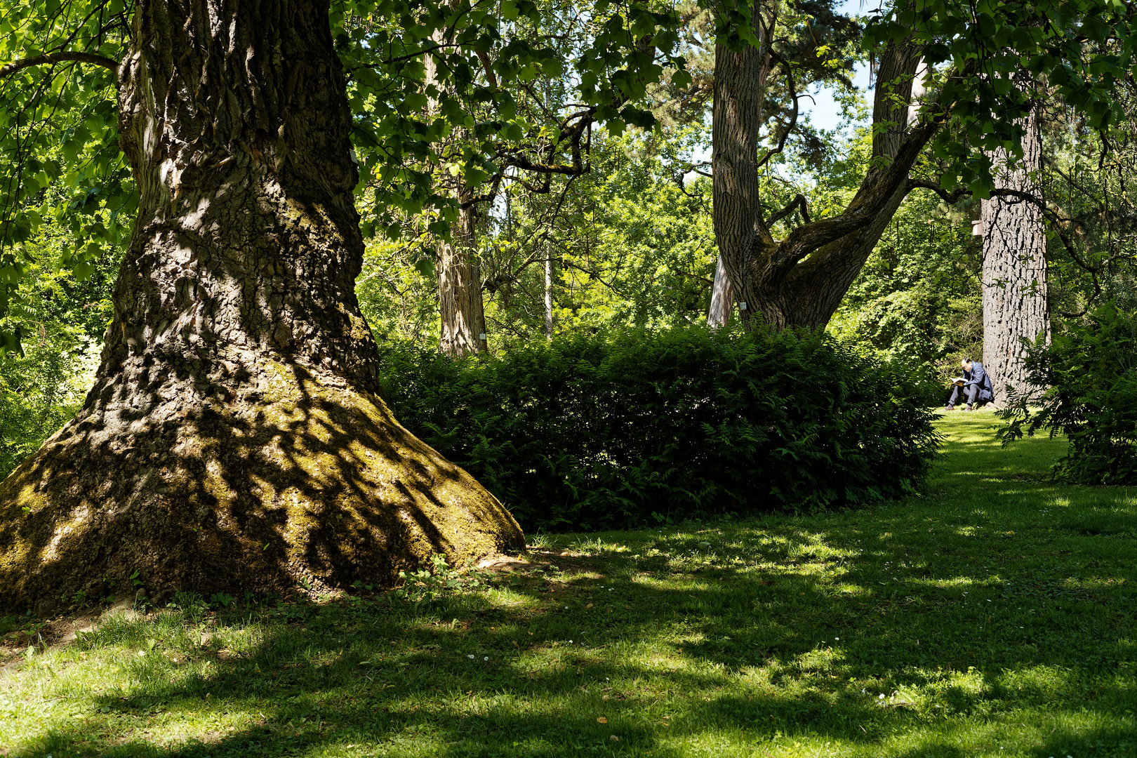 Entspannung im Park