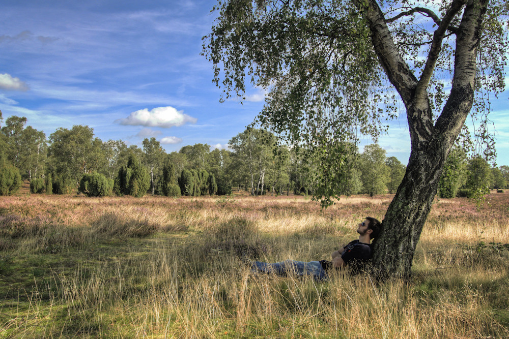 Entspannung in der Heide