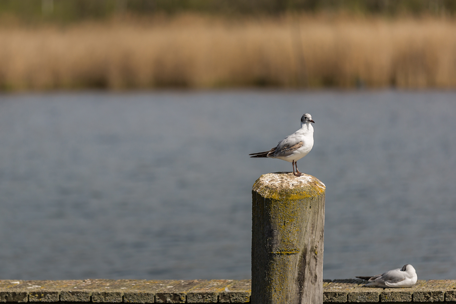 Entspannung in der Sonne