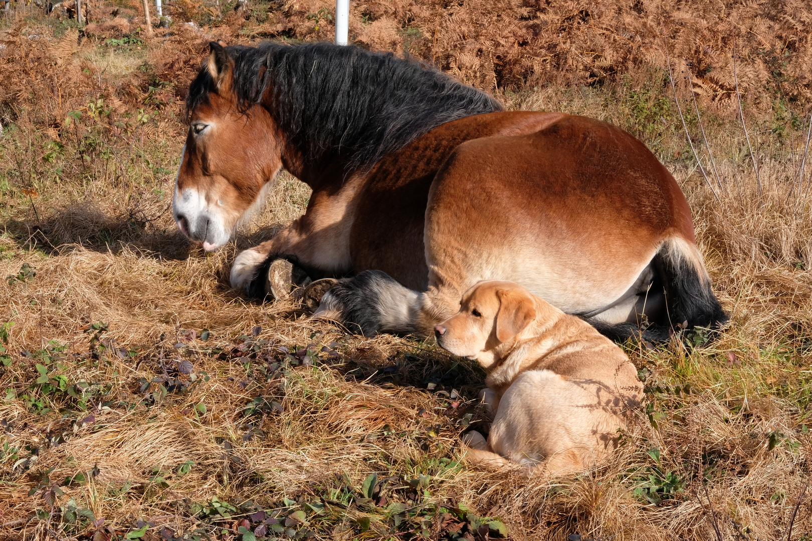 Entspannung in der Sonne