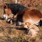 Entspannung in der Sonne