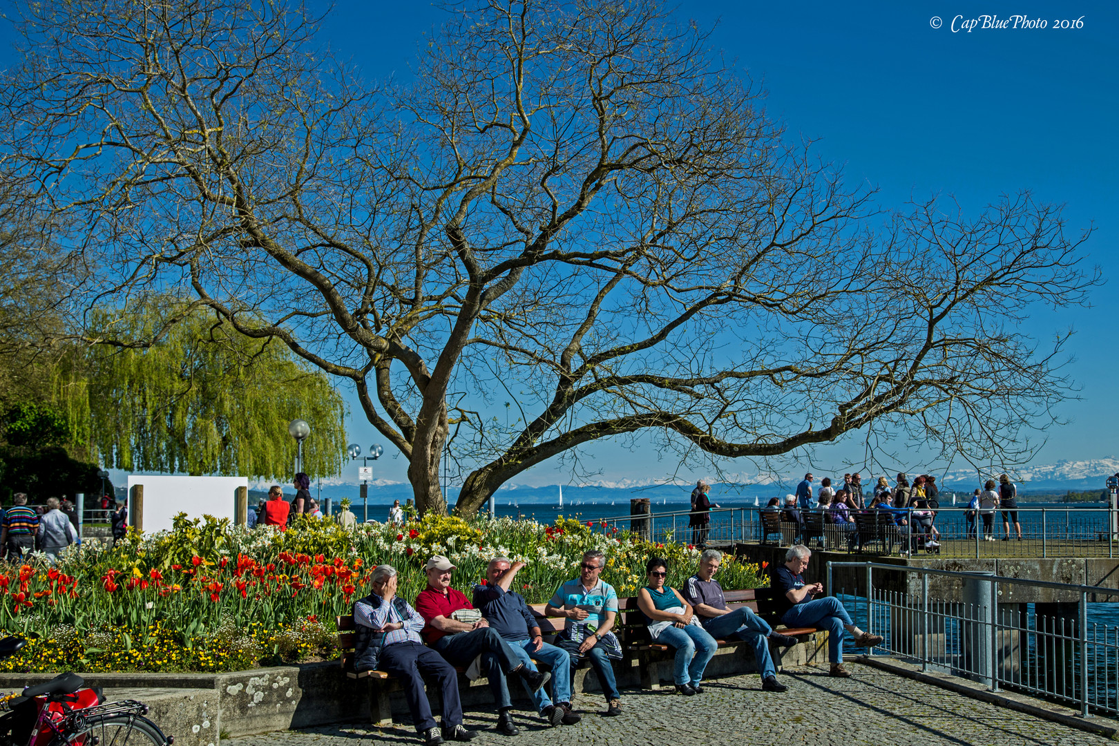 Entspannung pur am See in Überlingen