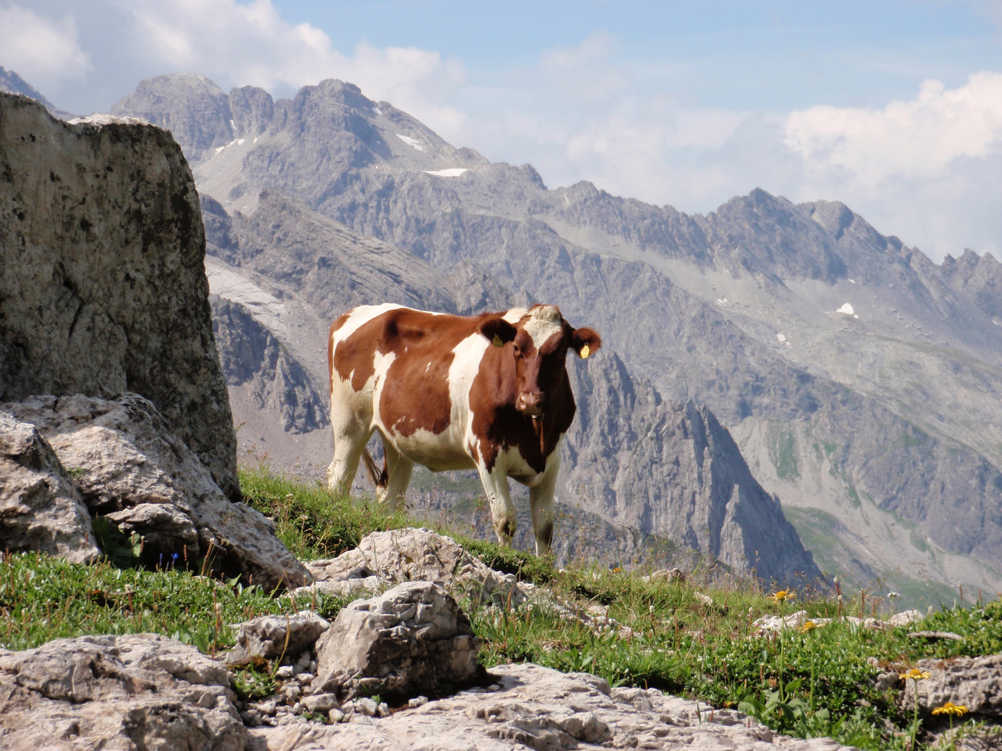 entstanden am Weg vom Braunarlfürkele zur Biberacher Hütte