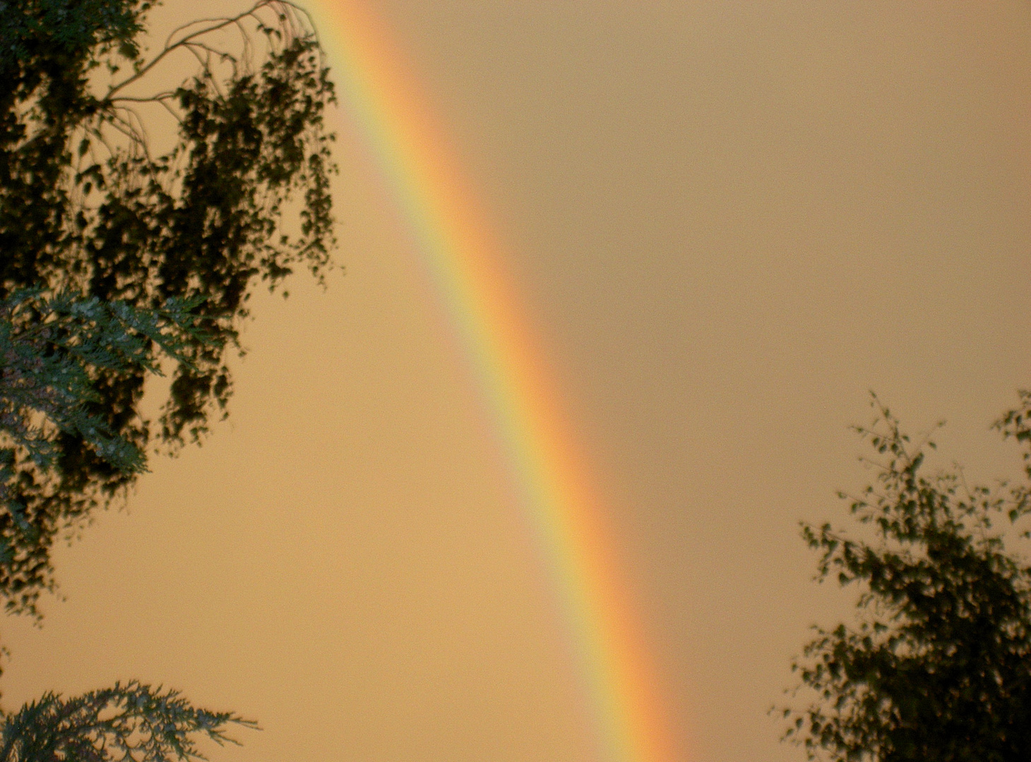 Entstehen eines Regenbogens