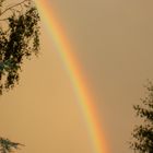 Entstehen eines Regenbogens