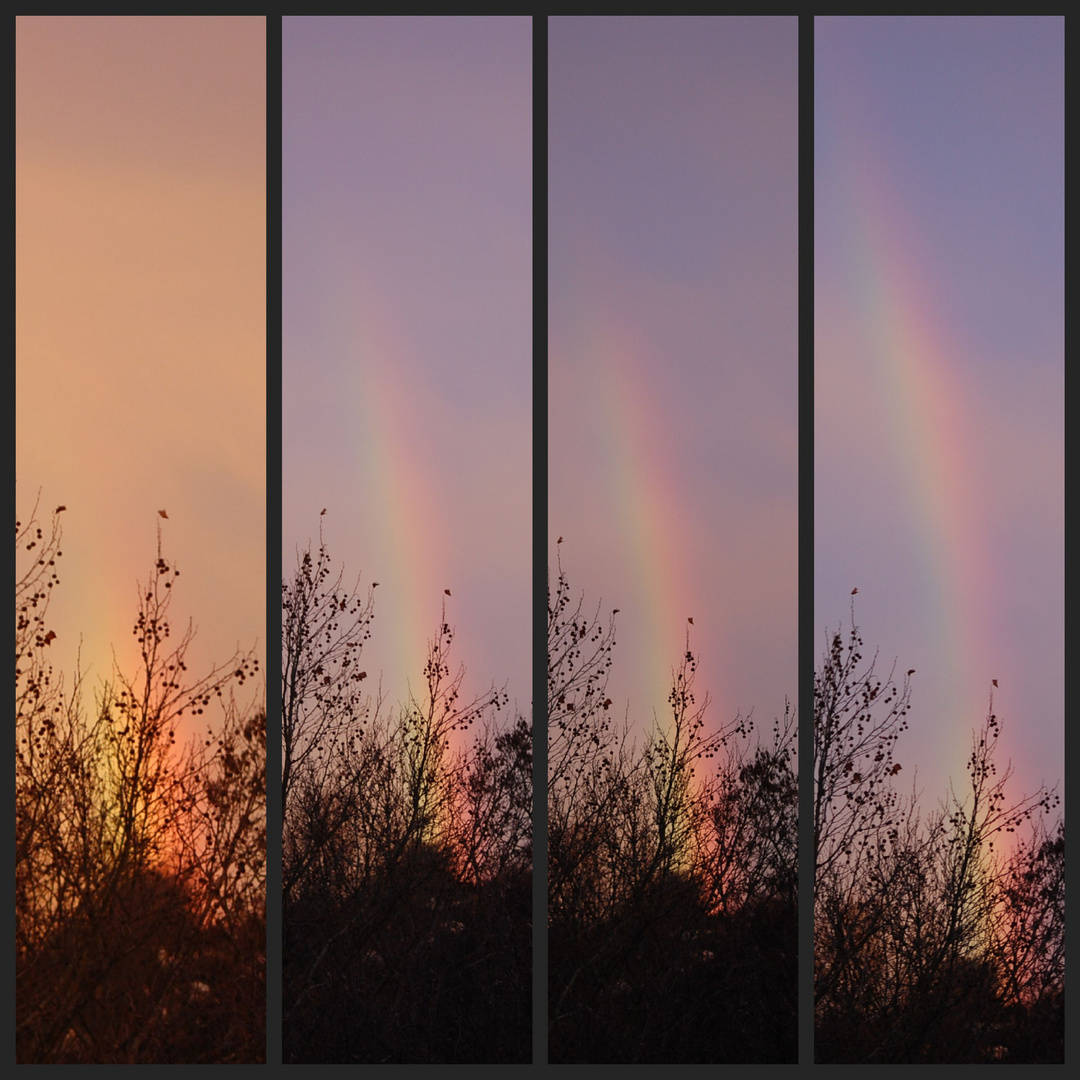 Entstehung eines Regenbogens