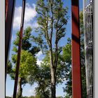 Entweder Baum oder Gerüst schief