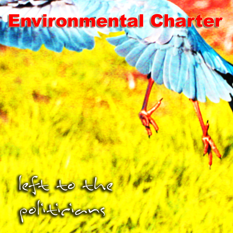 Environmental Charter