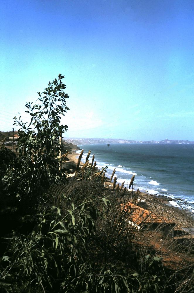 Environs de Mers-el-Kébir - 1963