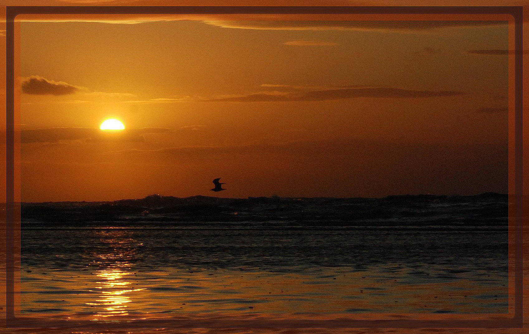 Envol au crépuscule