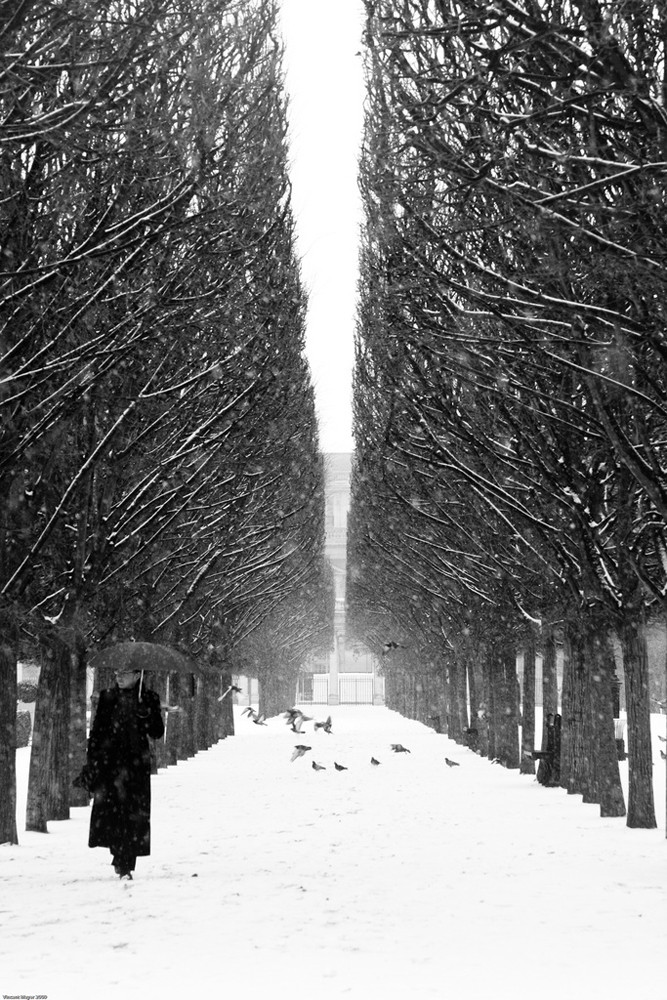 Envolée parisienne sous la neige