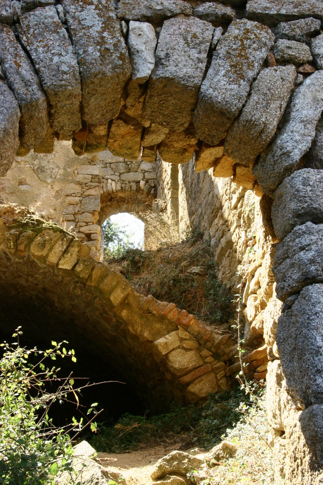 envoutées !!!! occi en corse