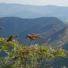 enxergando Minas Gerais