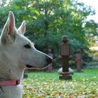 Enya im Skulpturengarten